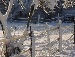Марія Мосійчук фотография #38 (источник - https://vk.com/id86225869)