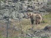 Фотография Яковца Васи