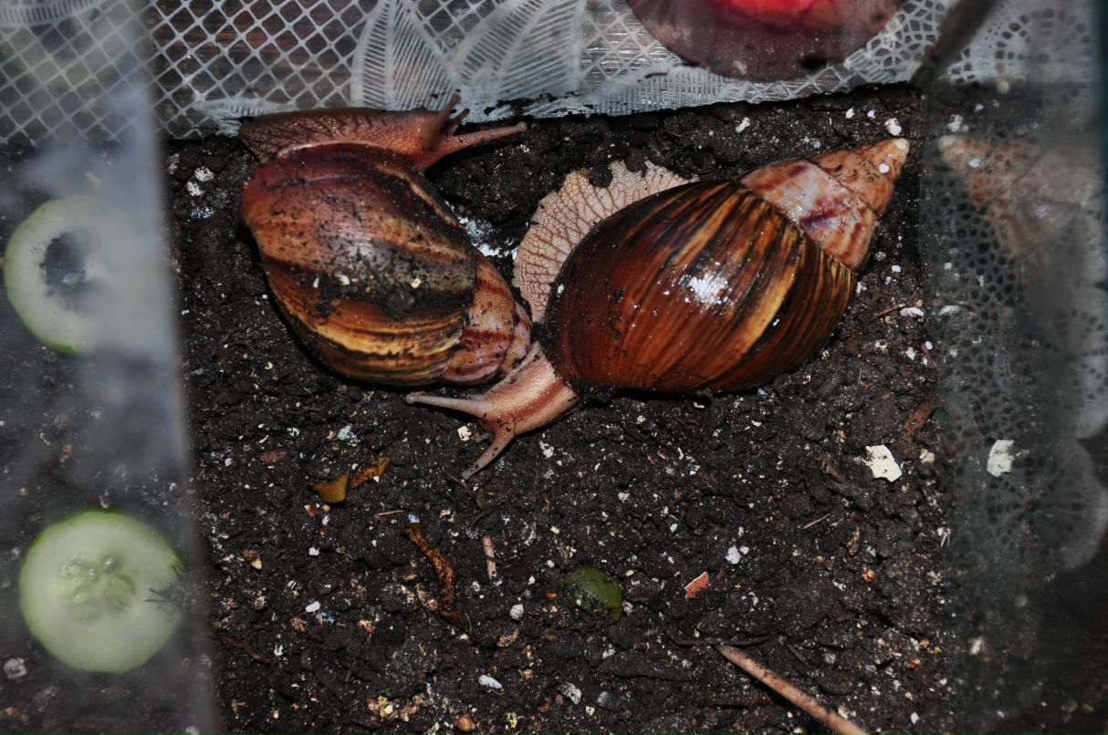 Александр Бычков фотография #49