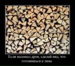 Фотография Воронцова Александра