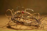 Фотография Гелеты Антона