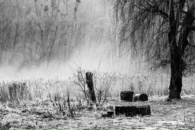 Andromeda Messier фотография #23