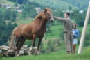 Міша Сірко фотография #32 (источник - https://vk.com/id53943804)
