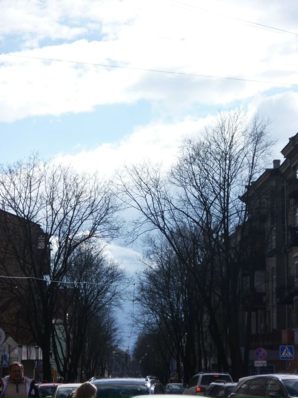 Dragon Fly фотография #39