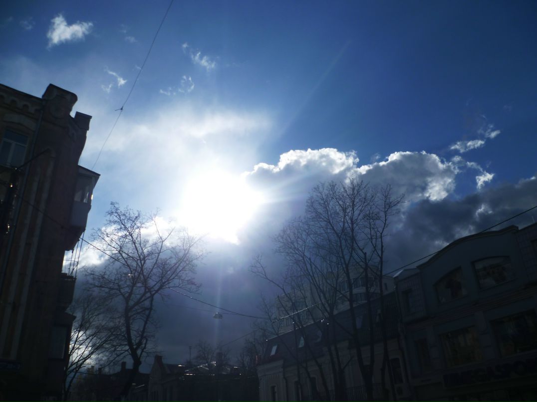 Dragon Fly фотография #23