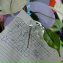 Мария Талалаева фотография #41 (источник - https://vk.com/id53978)