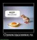 Фотография Воробьевой Дарьи