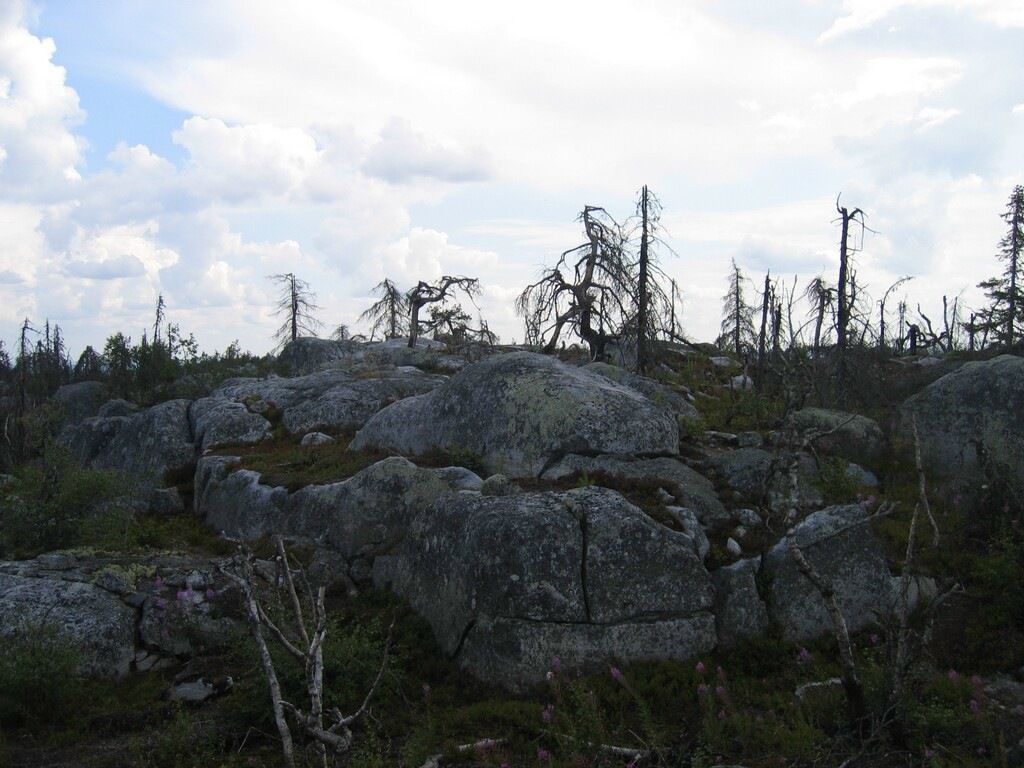 Иван Паньков фотография #36