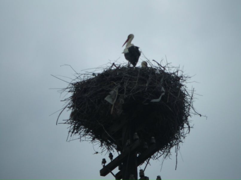 Наталья Шмидт фотография #39