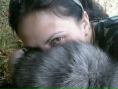 Фотография Никитин Дмитрий