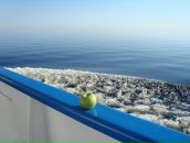 Фотография Кочетова Максима