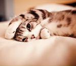 Фотография Цапуриной Эвелины