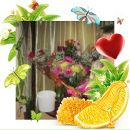 Фотография Стяжкиной Татьяны