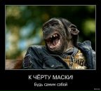 Vladlena Moskalenko фотография #44 (источник - https://vk.com/id10124641)