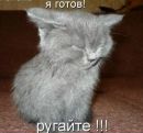 Фотография Громовой Софьи