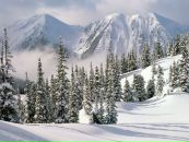 Фотография Ильичевой Яши