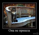 Юрій Скачек фотография #20 (источник - https://vk.com/id166609806)