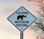 Илья Езелев фотография #13 (источник - https://vk.com/id2129510)