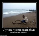 Фотография Софья Царенкова