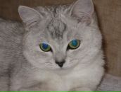 Фотография Гришаковой Ольги