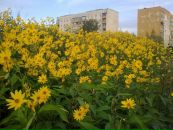 Іван Коваль фотография #5 (источник - https://vk.com/id50934328)