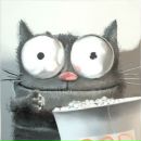 Фотография Дорофеева Никиты