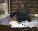 Фотография Шатикова Игоря