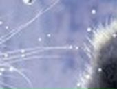 Олександр Янчиківський фотография #28 (источник - https://vk.com/id53810144)