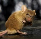 Фотография Кулешовой Марии