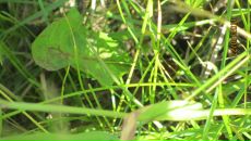 Марк Щукин фотография #27 (источник - https://vk.com/id7779043)