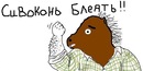 Фотография Сивоконя Артёма