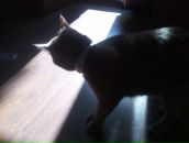 Фотография Рустамовой Вероники