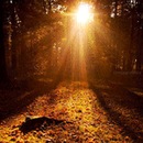 Ірина Тарканій фотография #12 (источник - https://vk.com/id93459040)