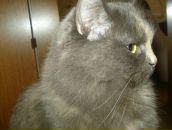 Фотография Колокольцевой Ирины