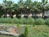 Фотография Поповой Нелли