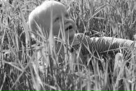 Фотография Шеиной Анастасии