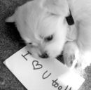 Захар Мильченко фотография #6 (источник - https://vk.com/id166375541)