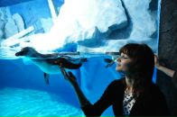 Фотография Шамаевой Людмилы