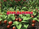 Оленка Іванишин фотография #44 (источник - https://vk.com/id104686167)