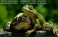 Іра Коротченко фотография #17 (источник - https://vk.com/id52973283)