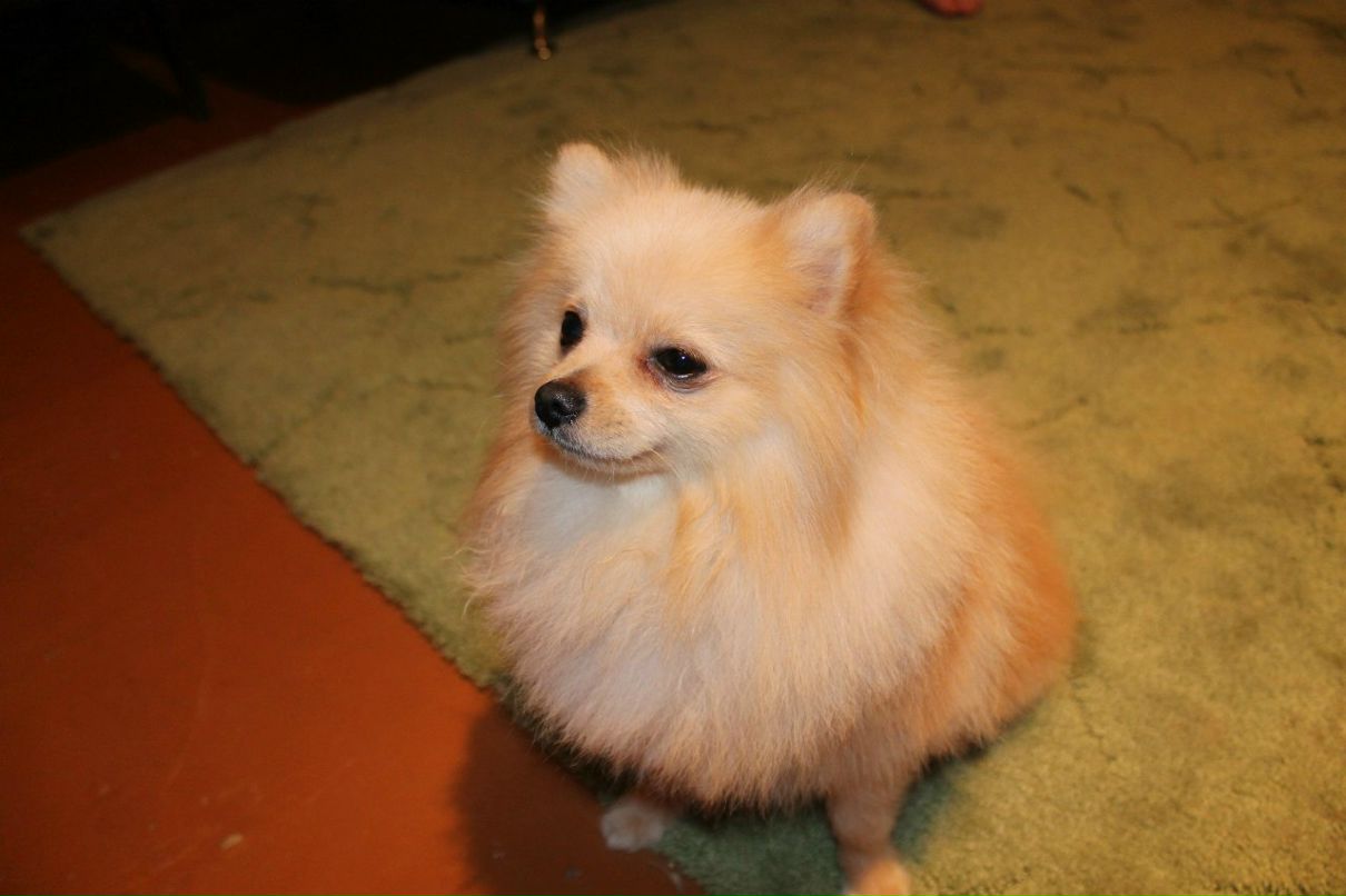 Саша Черников фотография #44