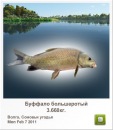 Андрій Волинець фотография #36 (источник - https://vk.com/id87529096)
