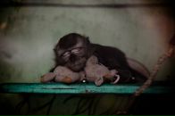 Фотография Гавриленко Алексея