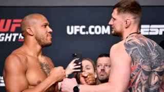 UFC Вегас 30: Битвы взглядов