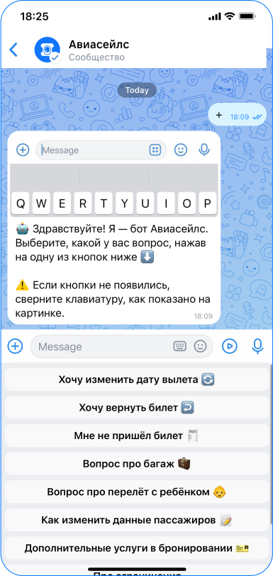 Example of chatbot Aviaseils